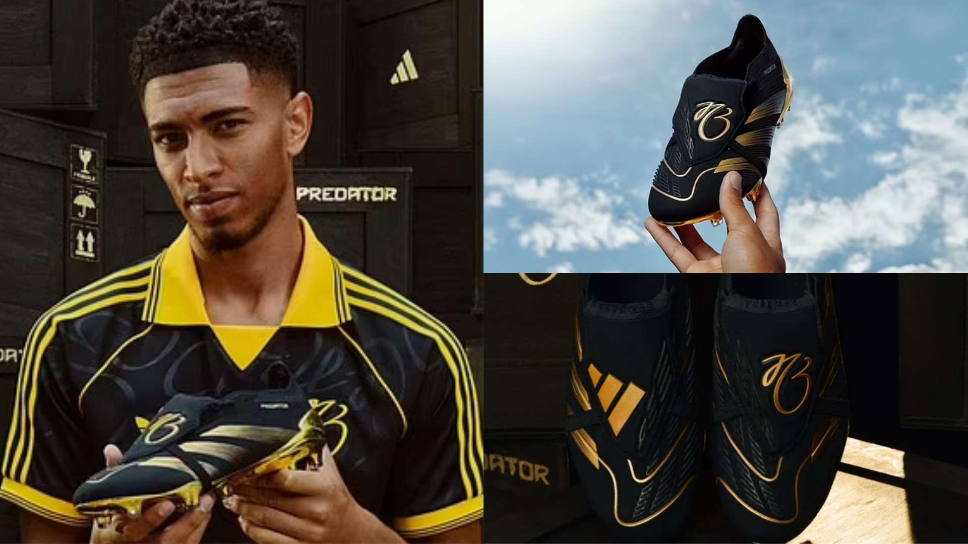 憑藉出色的 憑藉出色的